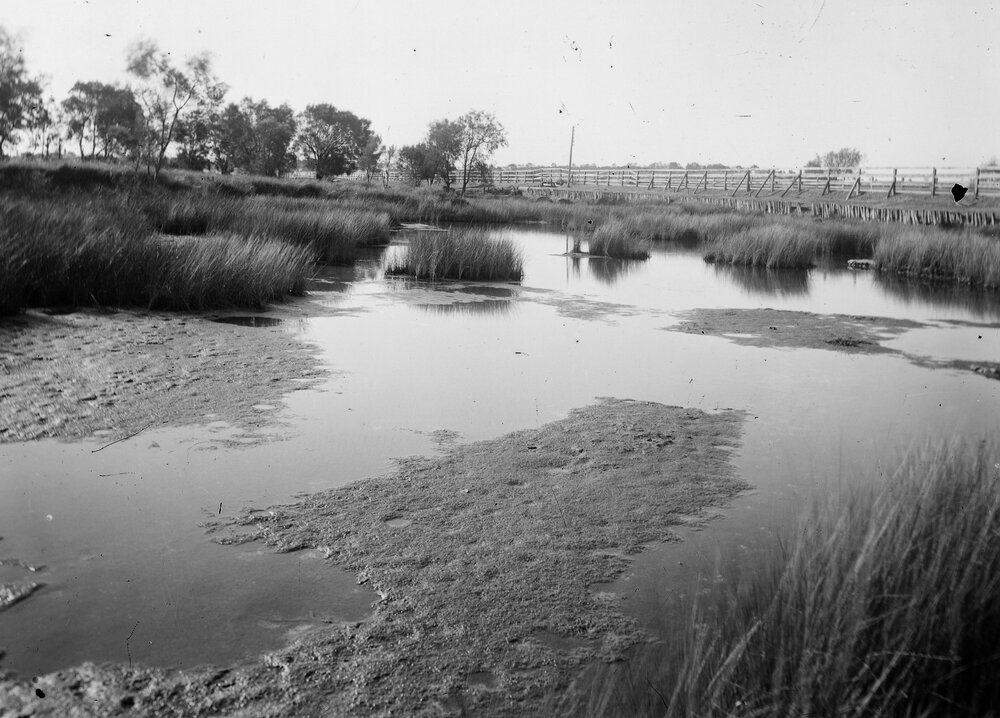 “The site is an important part in the creation journey of the Waugyl, the giant rainbow snake of Noongar Dreaming